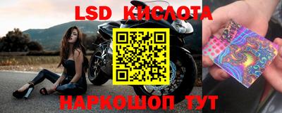 ГАЛЛЮЦИНОГЕННЫЕ ГРИБЫ Краснокаменск