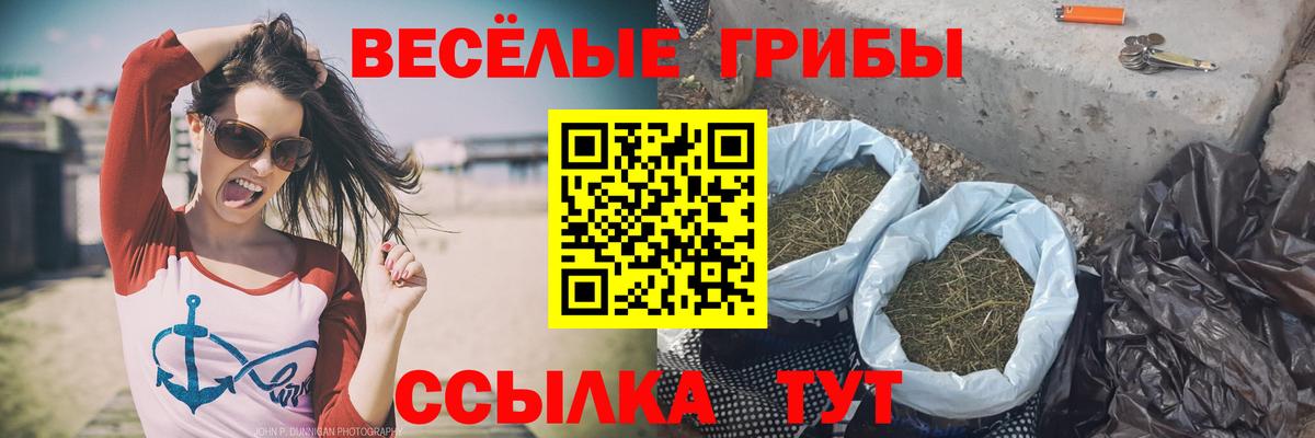 Когалым  Галлюциногенные грибы прущие грибы  Вход с VPN 